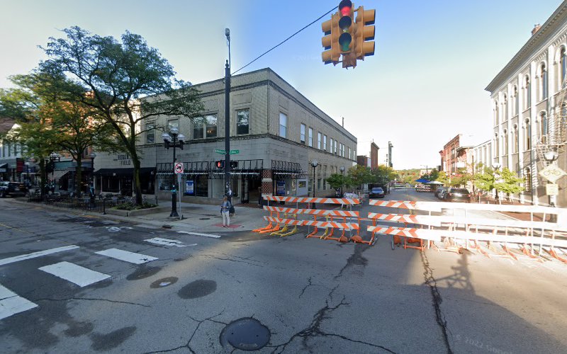 Tree Town Mold Experts