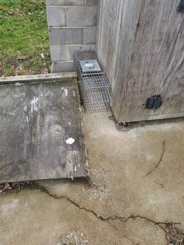 Red Ex Pest & Mold Removal Services