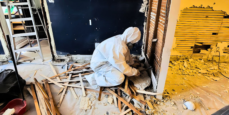 Mulberry Restoration