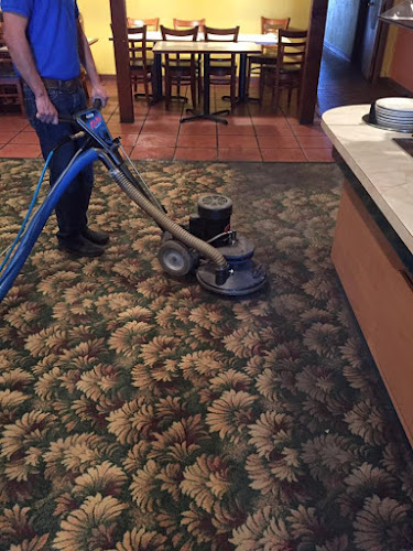 Vielmas Carpet Cleaning