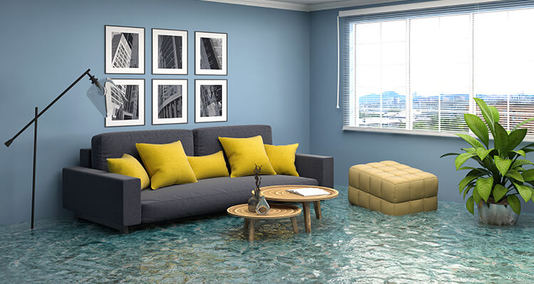 NEKO - Water Damage Restoration in Sugar Land