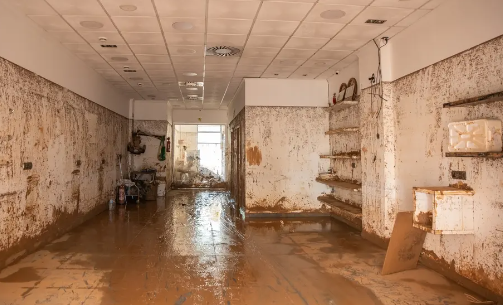 Water Damage Restoration Street LP