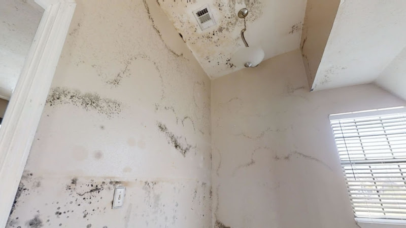 Dry Cleanup - Mold Removal & Remediation Brownsville TX
