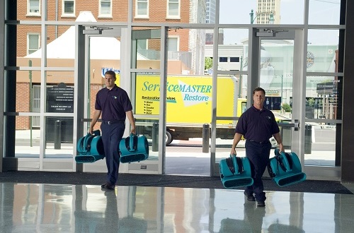 ServiceMaster DSI Venice