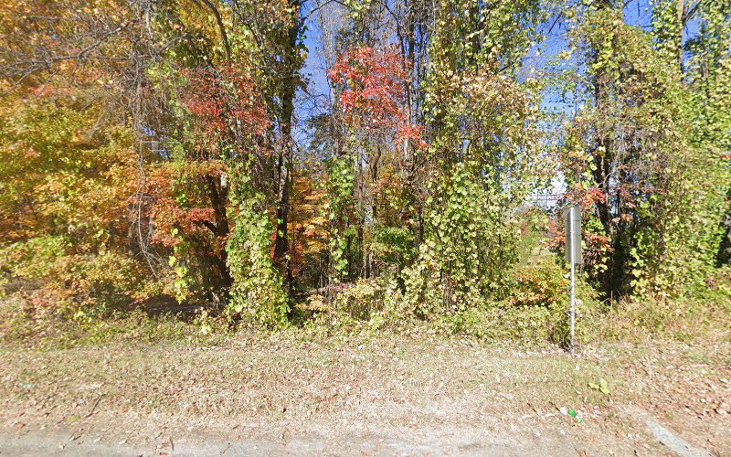 Yellow Dog Properties, LLC