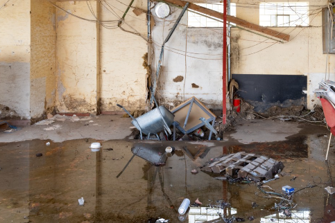 A1 Hydro Water Damage Hustle