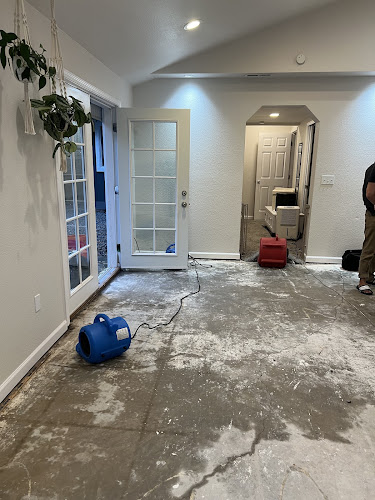 Five Star Chem-Dry Upholstery & Carpet Cleaning, Water Damage | Bothell