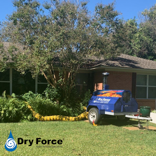 Dry Force Water Removal Specialists