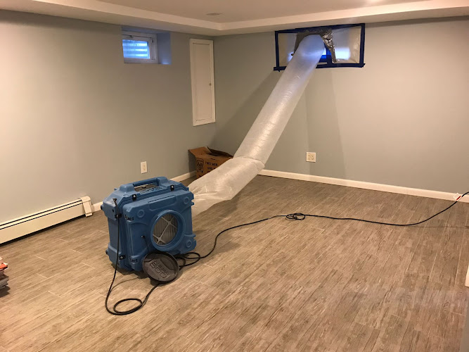 DR. Mold Removal