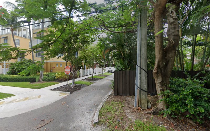 Maca Mold Assessments