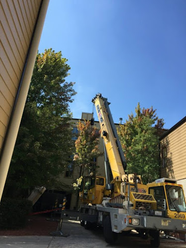 Elite Roofing of Georgia