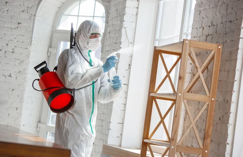 Nashville Mold Removal Pros