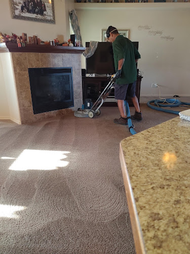 Go Green Carpet Cleaning