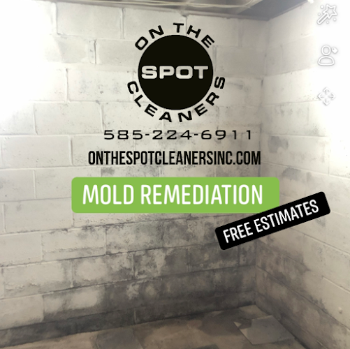 On the Spot Cleaners Inc