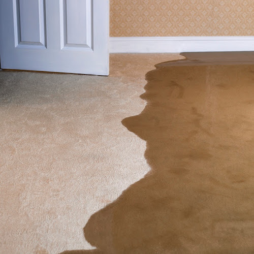 Rainbow International of Stamford