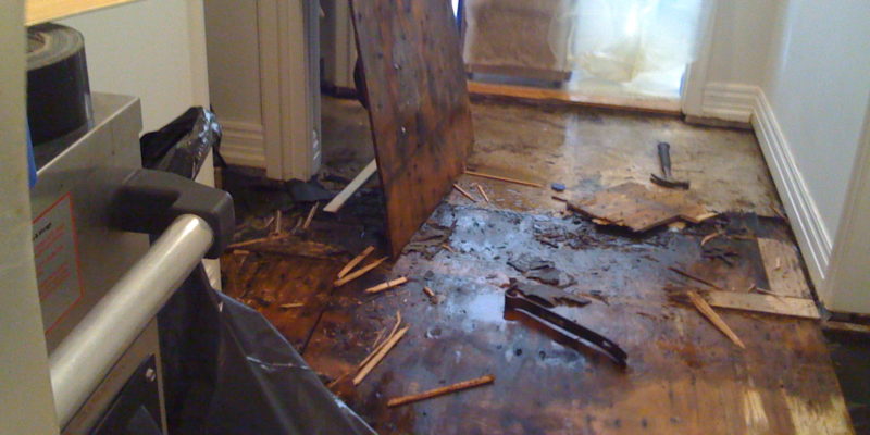 The Flood Pros Forth Worth