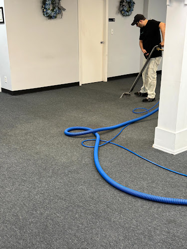 NY Steam Clean-New York's Top Rated Carpet Cleaners