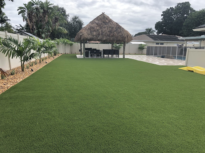 Bella's Dad Mold Removal