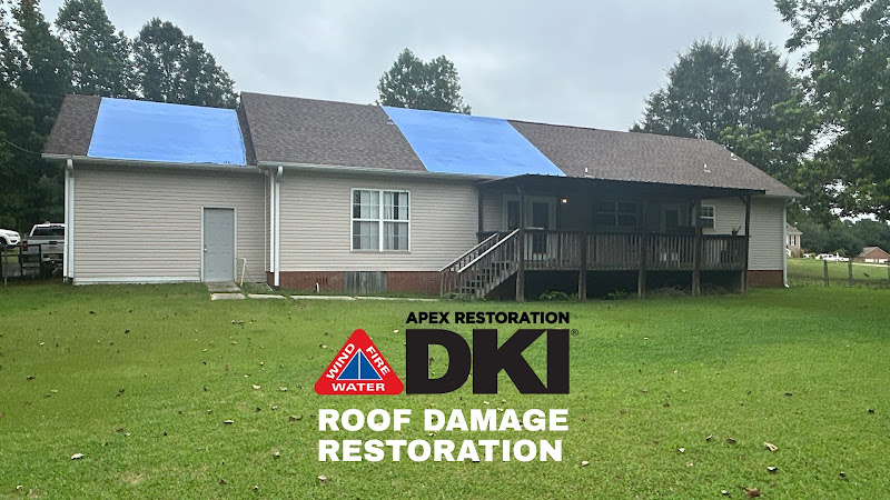 APEX RESTORATION DKI