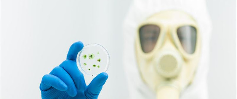 SIMPLY Mold Removal & Mold Remediation Chicago