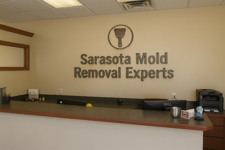 Sarasota Mold Removal Experts