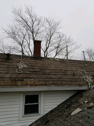 Erie Environmental | Mold | Asbestos | Radon of Sandusky