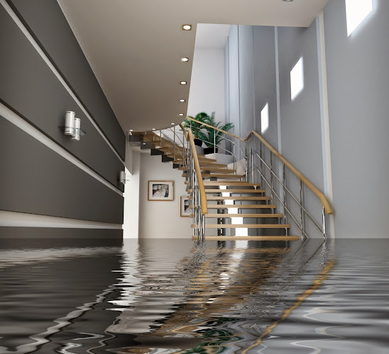 24 hr Water Damage Pros