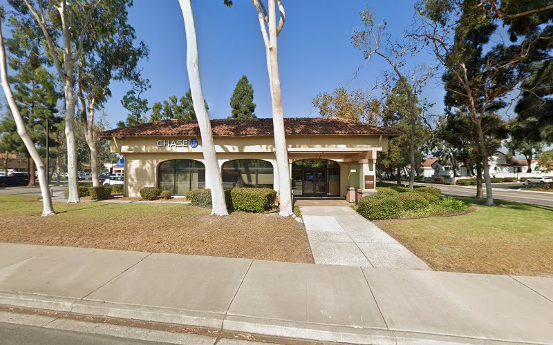 The Mold Removal Service Pro