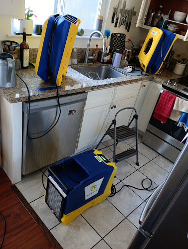 1-800 WATER DAMAGE of Hayward and Dublin, CA