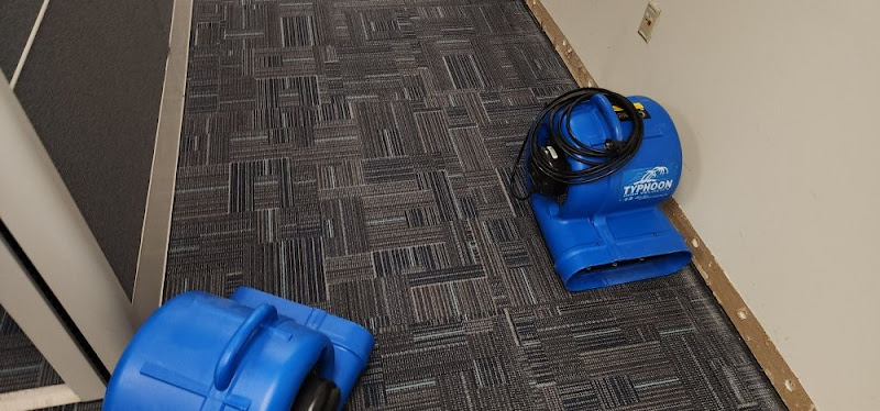 Octagon Cleaning and Restoration