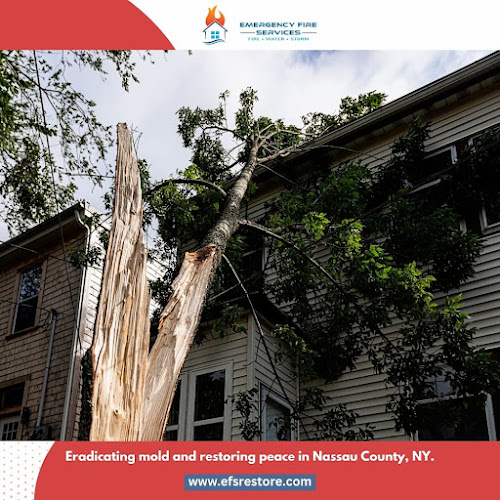 Emergency Fire Services