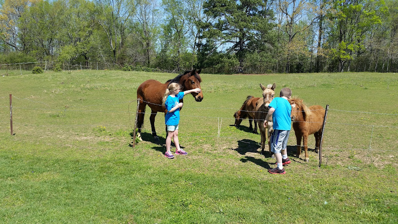 Thumbprint Development