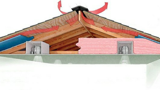 HOMETEC mold removal