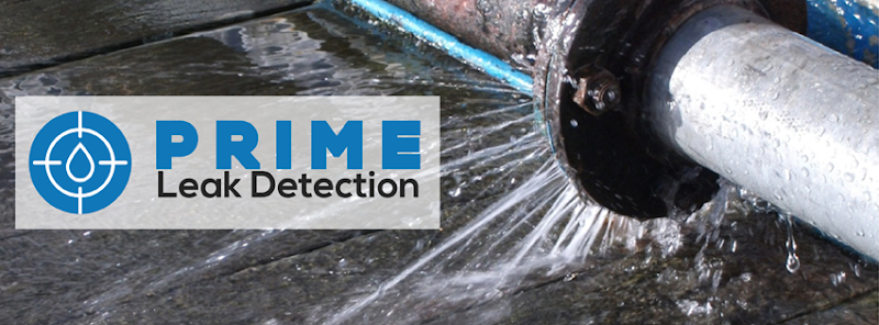 Prime Leak Detection