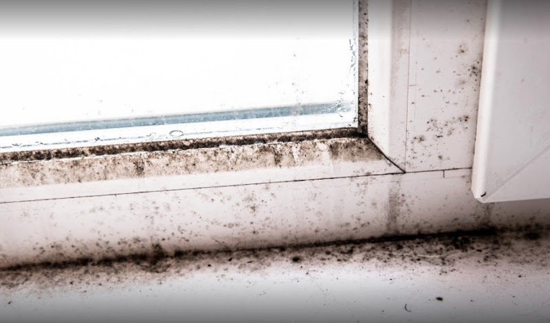 Complete Remediation Services of North Lauderdale