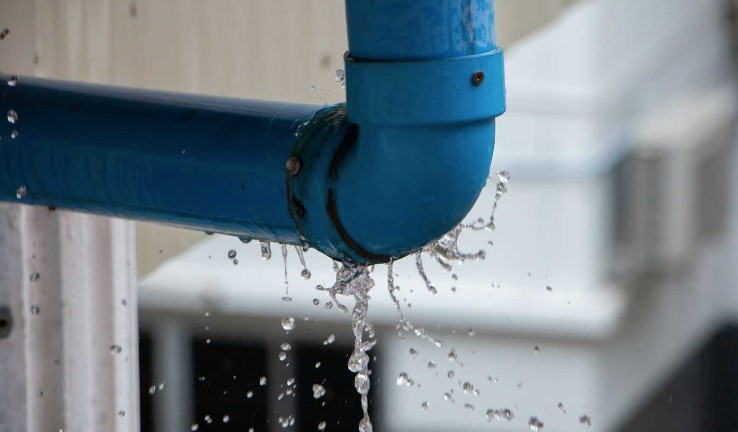 Oceanside mold removal & Water damage repair