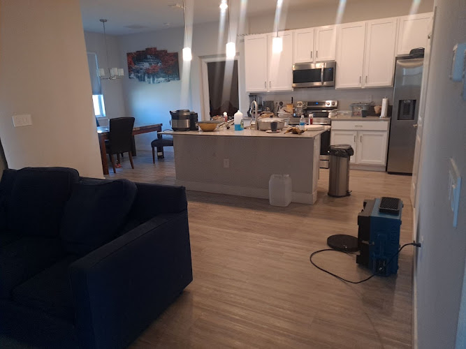 Affordable Mold Removal Experts