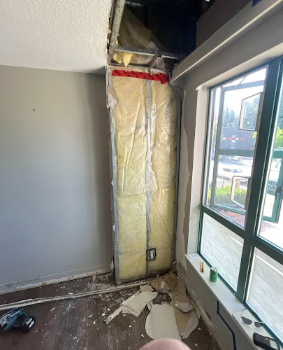 Aqualift Mold Removal