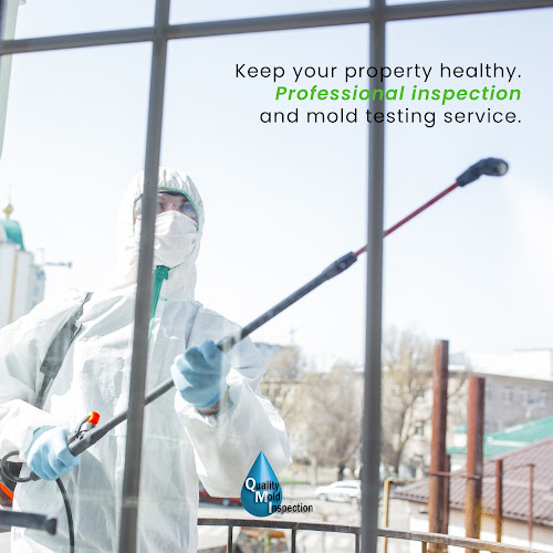 Quality Mold Inspection - Orlando