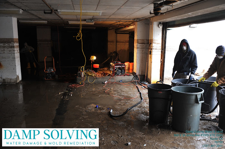 Damp Solving Water & Mold