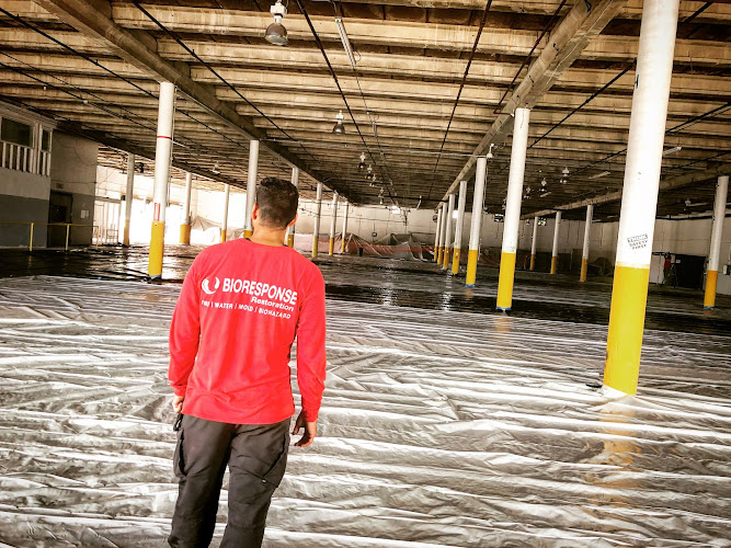 BioResponse Restoration