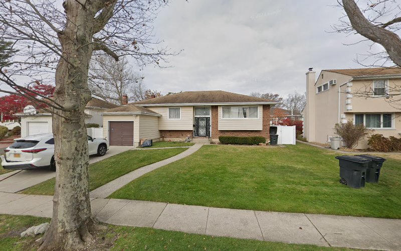 King David Mold Removal & Inspections