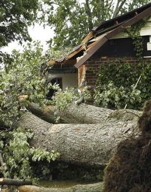 BELFOR Property Restoration (Center City)