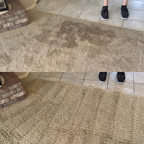 Rapid Dry Carpet Cleaning & Restoration Services