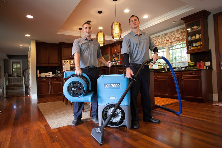 Premier Restoration Hawaii