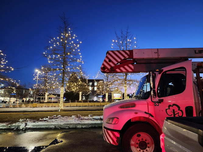 Tufts Water Damage Services