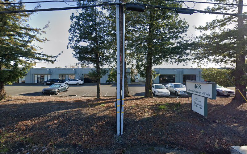 Star Super Mold Removal Santa Rosa