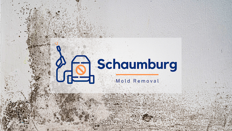 Schaumburg Mold Removal