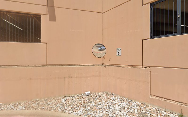 Dallas Mold Consultants