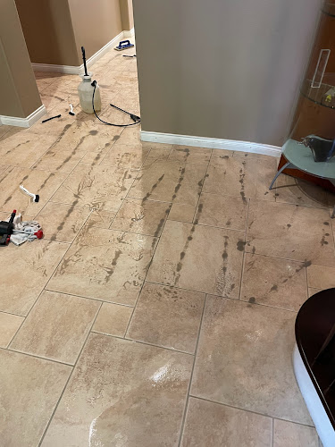 Silver Olas Carpet Tile Flood Cleaning